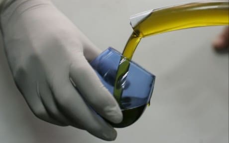 El aceite de oliva virgen extra previene el Alzheimer
