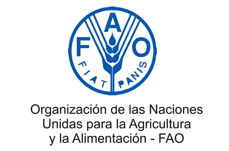 Crece el índice de precios de los alimentos de la FAO