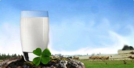 Los españoles gastaron en 2012 un 3,48% del presupuesto en leche