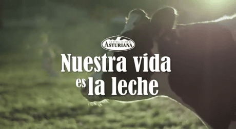 Central Lechera Asturiana destaca la importancia de la leche en su nueva campaña
