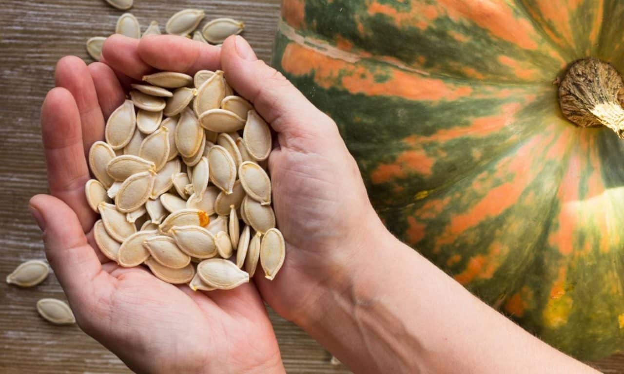 Propiedades y beneficios de las semillas de calabaza Marketing4Food