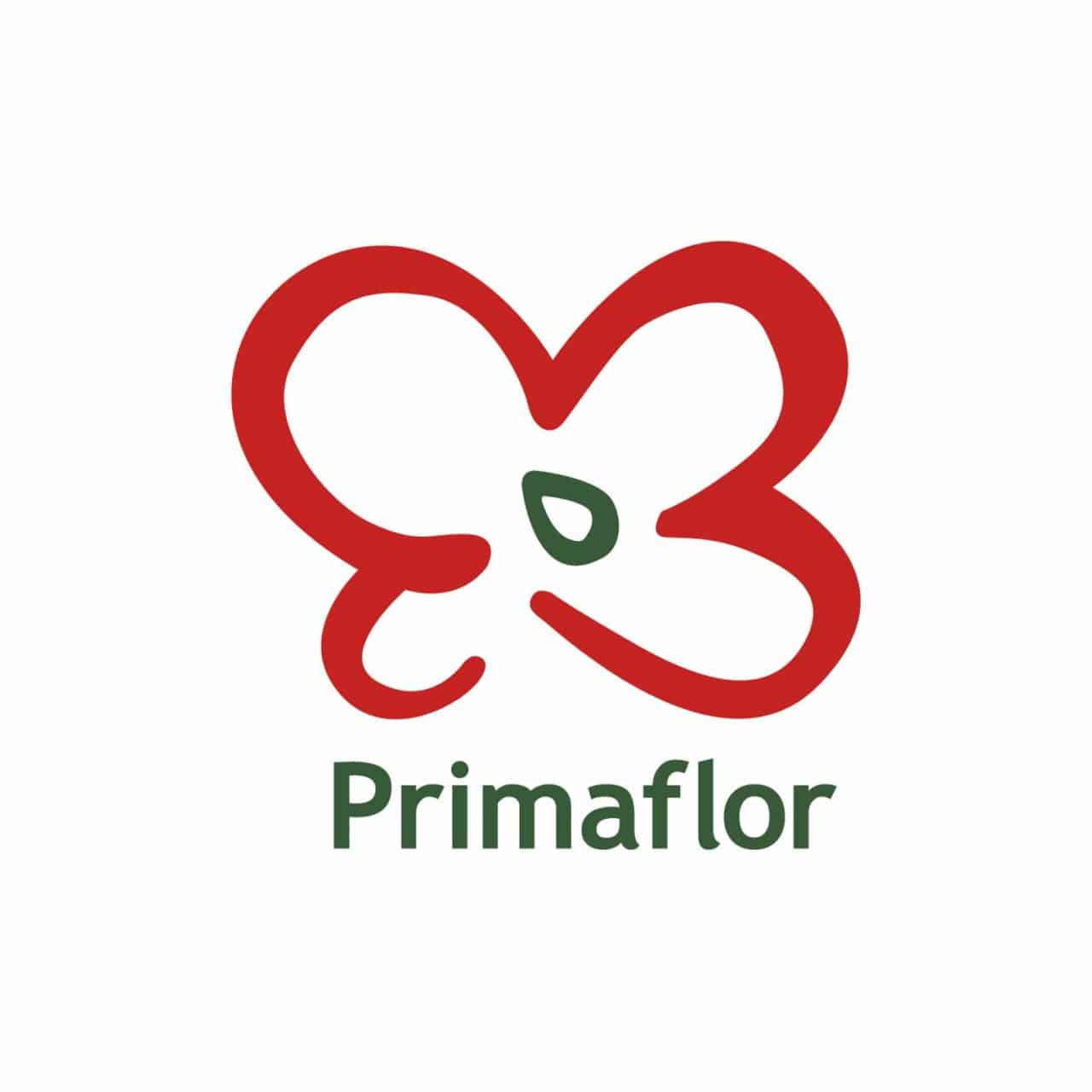   Primaflor recuerda los beneficios de una alimentación basada en verduras y hortalizas, así como el bienestar psicológico