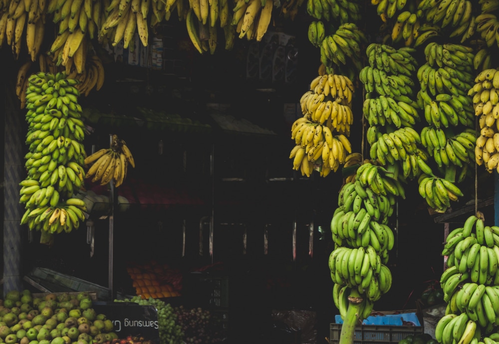Más de 70 hectáreas de banano son afectadas por TR4 en Perú
