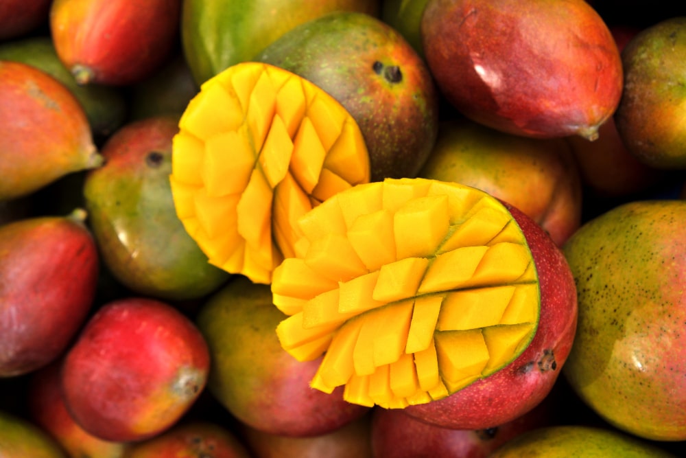 Comienza la «ventana» de la temporada de mangos finalizada en Estados Unidos