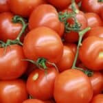 Tomate Canario