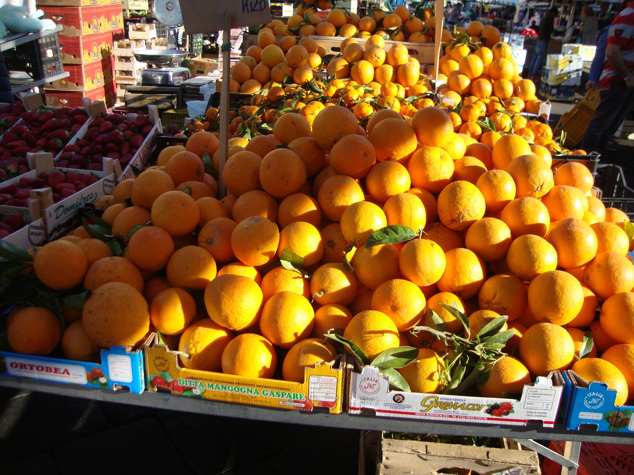 La exportación de naranjas continúa en baja: Andalucía, 10% menos