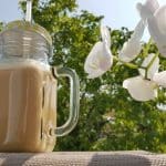 bebidas vegetales alternativas a la leche