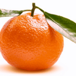 clementina nitrato cero