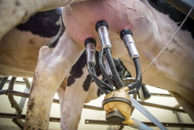Organizaciones agrarias lácteas se movilizan en defensa del sector
