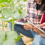 digitalización en agroalimentación