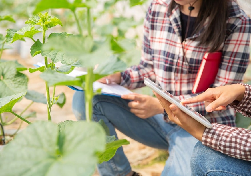Digitalización en agroalimentación: lanzan plan por 64 millones de euros