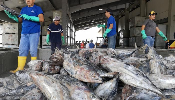 Ecuador busca reforma de Ley de Pesca