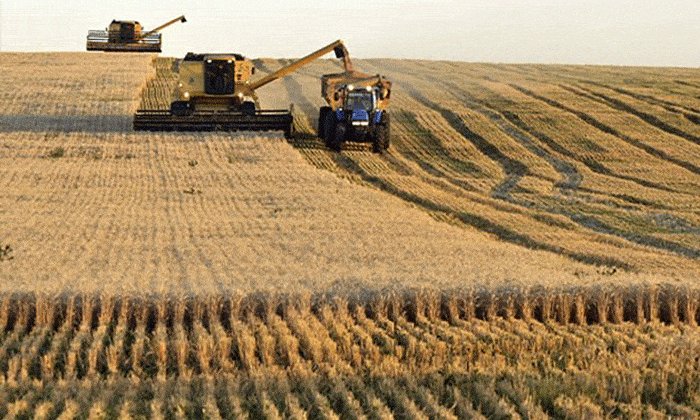 Año récord para la cosecha argentina