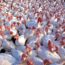 Gripe aviar en España
