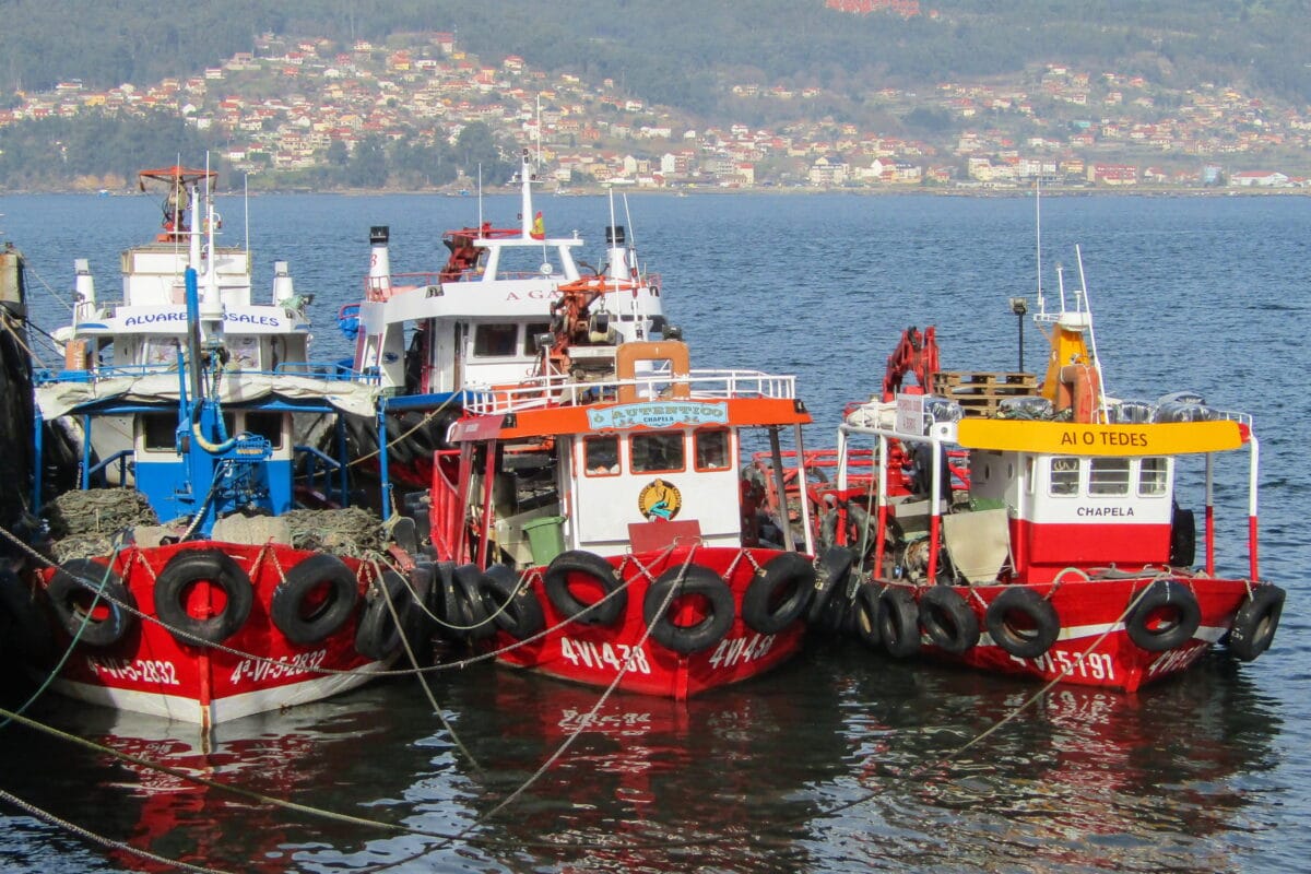 Se suspende el paro y la flota pesquera española vuelve a faenar