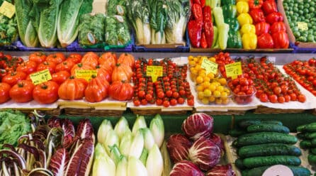 Distribuidores de Canadá buscan productores hortofrutícolas en la Región de Murcia
