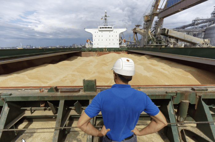 Baja el precio de los cereales tras la salida del barco de Ucrania